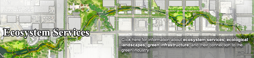 Ecosystem Services