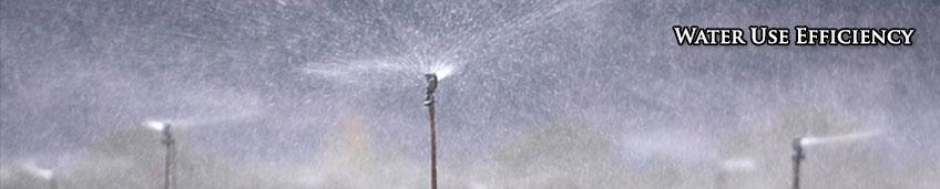 Water Use Efficiency